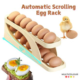 15 Egg Storage Box – Rolling Design
